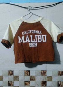 Brown Crop Top
