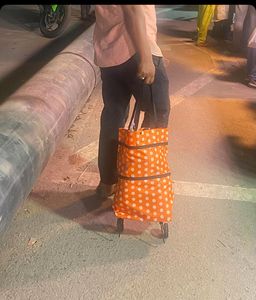 Shopping Trolley Bag