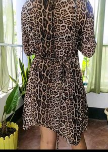Animal Print Dress