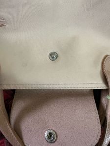 Longchamp XS Bag in Peach/Petal Pink 🍑