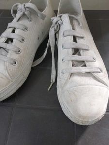 Zudio Casual Canvas Sneakers