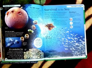 2 X ENCYCLOPEDIA (Nature + Space ) BOOKS
