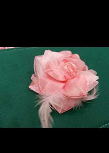 🎀2 Cute Accessories🎀