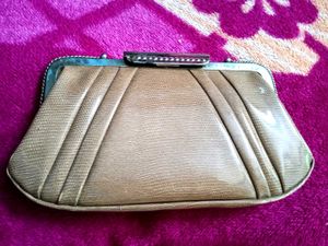 Elegant Clutch