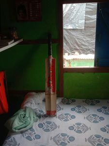 Cricket Bat