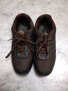 Asian Exclusive Brown Casual Shoes