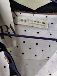 Zara Polo T- Shirt