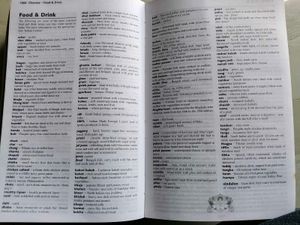 Lonely Planet India Travel Guide