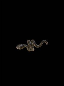 Snake rings