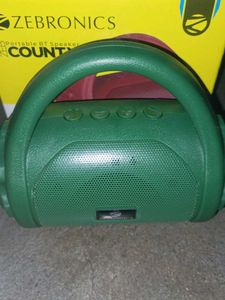 Zebronics County Speaker