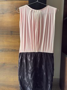 Pink &amp; Black Fish cut Dress
