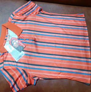 Dressberry Women Orange Striped Collar Tshirt