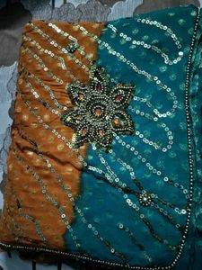 Beautiful Multi Colour Saree