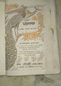Bengali Rapid Reader Class 8