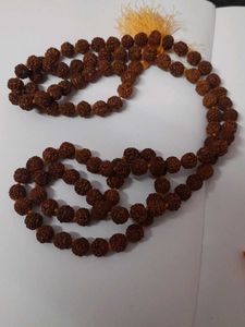 New 5 MukhiRudrakshaMala BigSizePrayerBeads+Free B