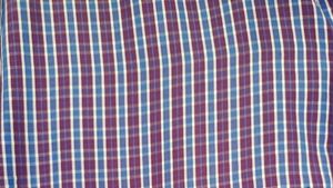 Blue Man&#39;s Check Shirt