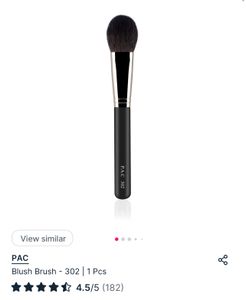 Almost New PAC Makeup Brushes &amp; Beauty Blender