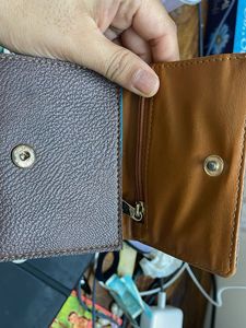 Baggit Brown Wallet