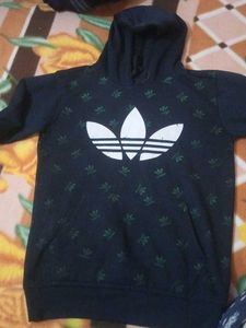 Hoddie