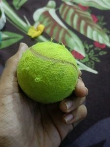 Tennis Ball
