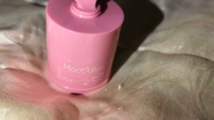 N. KOREAN PUFF BLUSH