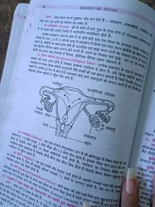 Golden Question Bank Class 12th Science