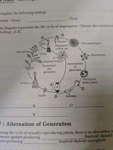 Arihant NCERT Workbook Biology Class Xi