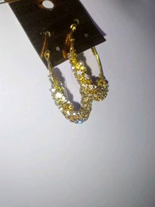Hoop Earrings