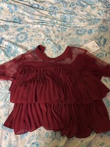 Elegant Scarlet Net Balloon Sleeve Top – Trendy “S