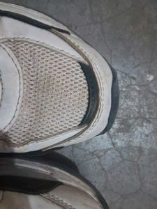 Sports Sneakers