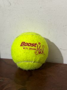 Cricket Ball