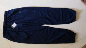 Jooger Pants For Women
