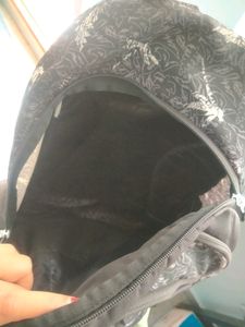 Wildcraft Bag
