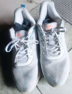 Asian Sports Shoe