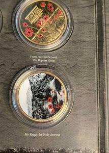 war poppy collection by Jacqueline Hurley