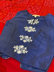 Embroidered Blue Choli Set