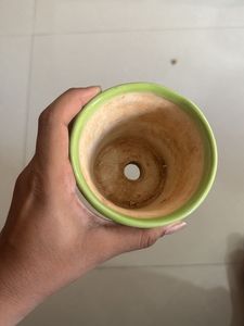 Green Ceramic Planter
