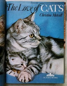 The love of cats