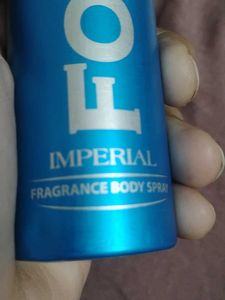 Fogg Fragrance body spray