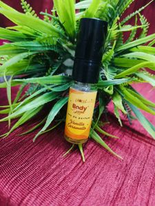 Plum And Derma Co 4 Product Kit