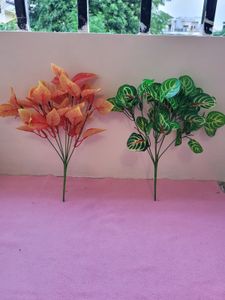 Leaf Set