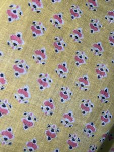 Yellow &amp; Red Printed Dupatta