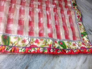 Elegant beutiful chex saree