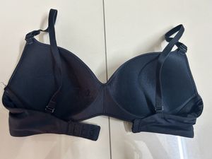 Zivame Padded TShirt Bra