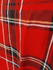 Women Red Checked Shirt