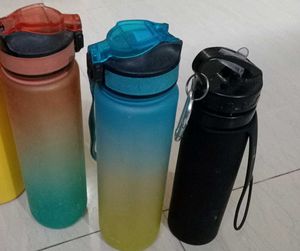 Motivational Water Bottles (Set of 3)