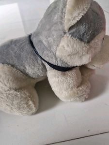 Dog Soft Toy