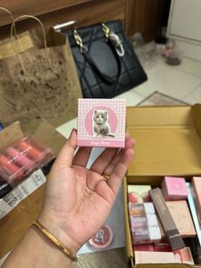 NEW unused Cute Cat Blush