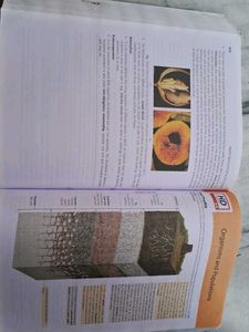 MTG NCERT AT YOUR FINGERTIPS BIOLOGY