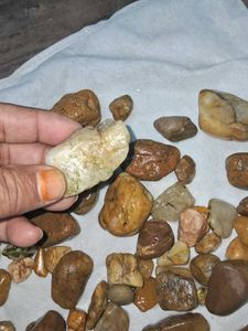 Decorative River Rocks